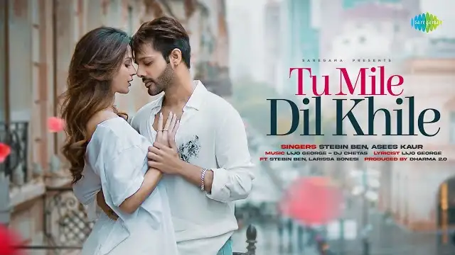 Tu Mile Dil Khile Lyrics