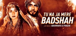 Tu Na Ja Mere Baadshah Lyrics